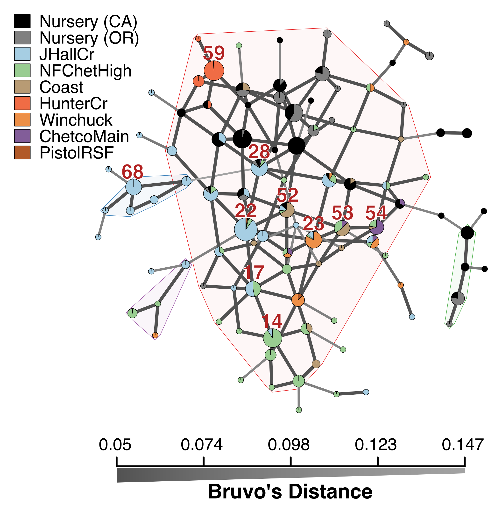 Minimum spanning network based on Bruvo's genetic distance for
microsatellite markers for *P. ramorum* populations. Nodes (circles)
represent individual multilocus genotypes. The 10 most abundant forest
genotypes are labeled with their MLG designation. Node colors represent
population membership proportional to the pie size. Node sizes are
relatively scaled to *log~1.75~n,* where *n* is the number of samples in
the nodes to avoid node overlap. Edges (lines) represent minimum genetic
distance between individuals determined by Prim's algorithm. Nodes that
are more closely related will have darker and thicker edges whereas
nodes more distantly related will have lighter and thinner edges or no
edge at all. Reticulation was introduced by finding exact ties in
genetic distance after Prim's algorithm was run. Subgroups of &gt;3 MLGs
where all nodes are no more than one mutational step (d = 0.05) away
from its neighbors, are highlighted in arbitrary colors.