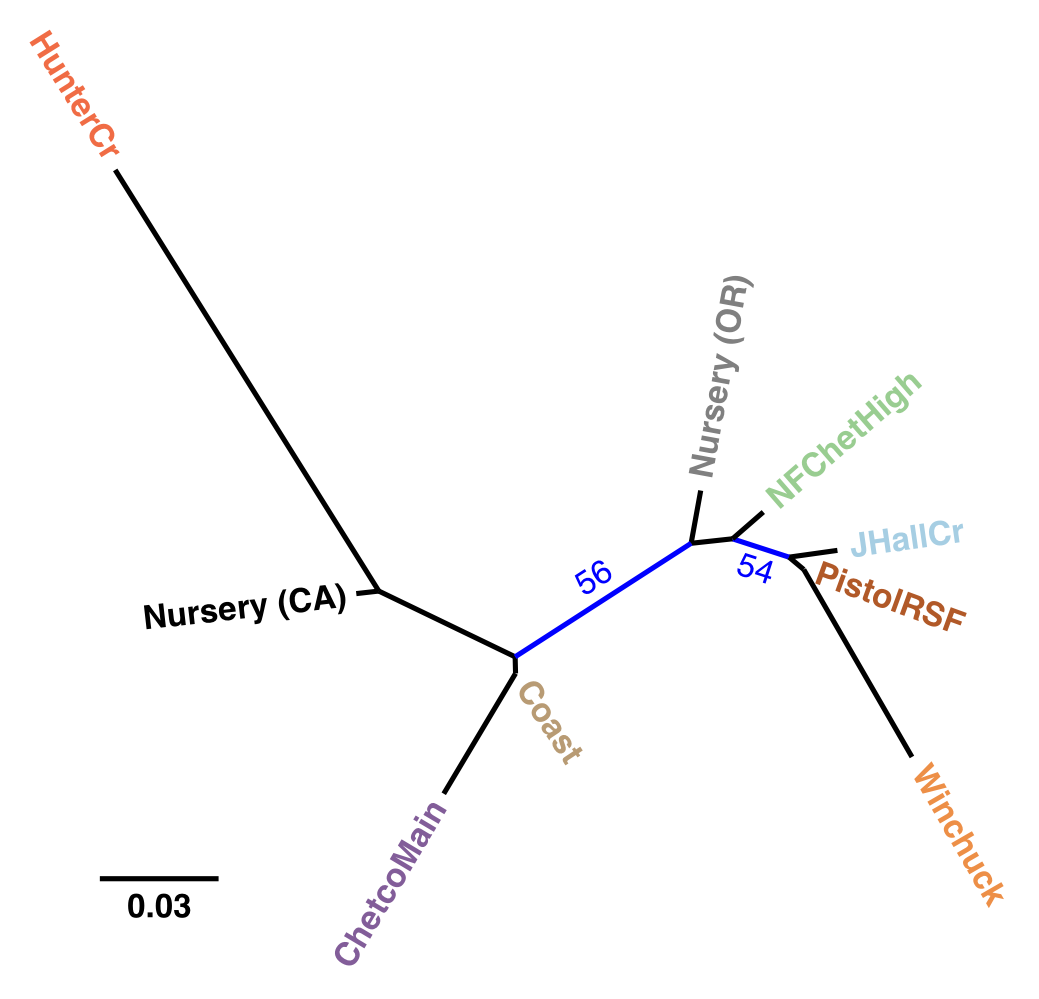 Unrooted, neighbor-joining tree with 10,000 bootstrap replicates of
Nei's genetic distance for *P. ramorum* populations defined by region.
Tip labels are colored by region. Branches with bootstrap values greater
than 50% are shown in blue. Nursery populations are shown as originating
from California (CA) or Oregon (OR).