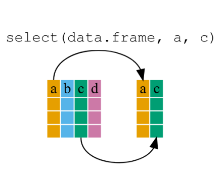 Data Frames Figure